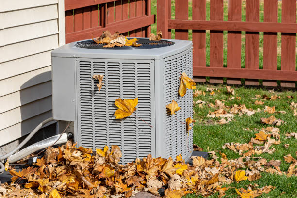 Best Affordable HVAC services  in Bridgman, MI